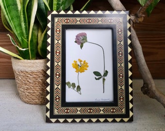 Vintage Pressed Flowers Framed,Herbarium Pressed Flower Frame,Vintage Framed Wall Art, Aster,Christmas Gift,French Vintage Frame