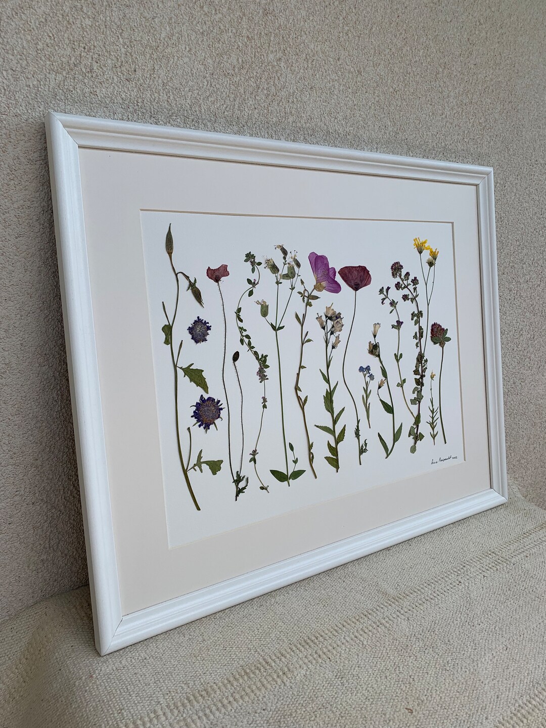Pressed Wildflowers Art, Pressed Wildflowers Framed,flowers From France