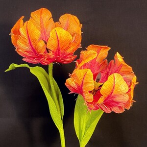 Krepppapier Papagei Tulpen (2er Set)