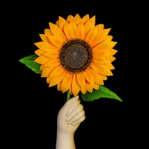 Crepe Paper Sunflower
