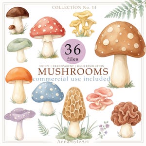 Könnte beinhalten: Eine digitale Sammlung von 36 Aquarell-Pilzillustrationen mit verschiedenen Arten in Rot, Braun, Orange, Blau, Rosa und Lila. Der Text lautet COLLECTION No. 14, 36 files, 300 DPI | TRANSPARENT | HIGH RESOLUTION, MUSHROOMS, commercial use included und AnnaStyleArt.
