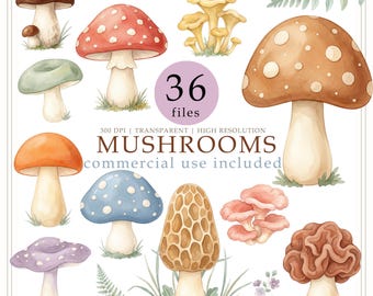 Watercolor mushroom clipart, forest fungi png, nursery decor, Commercial use