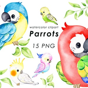 Clipart de aquarela de papagaios, clipart de pássaros exóticos, papagaio tropical png