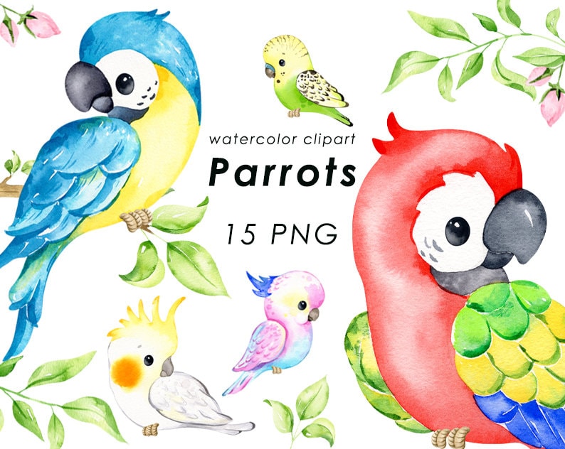 May include: Watercolor clipart of 15 parrots in various colors and poses. The parrots are depicted in a whimsical style with bright colors and playful expressions. The clipart includes a blue and yellow parrot, a red and green parrot, a yellow and white cockatiel, and a green parakeet.