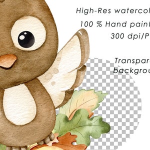 Fall Woodland Watercolor Clipart Cute Forest Animals Clip - Etsy