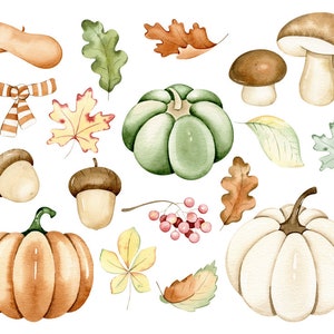 Fall Woodland Watercolor Clipart, Cute Forest Animals Clip Art, Autumn ...