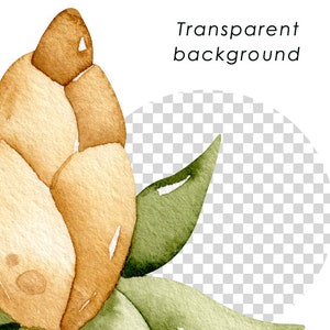 May include: A watercolor painting of a light brown flower bud with green leaves. The background is transparent.