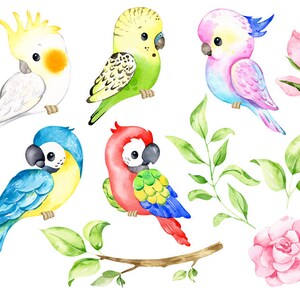 May include: Watercolor illustration of six colorful parrots, two pink roses, and green leaves. The parrots are a yellow cockatoo, a green parakeet, a pink and blue parakeet, a blue and yellow macaw, and a red and green macaw.