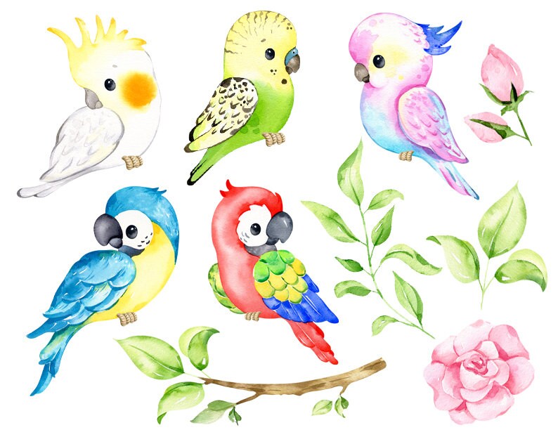 May include: Watercolor illustration of six colorful parrots, two pink roses, and green leaves. The parrots are a yellow cockatoo, a green parakeet, a pink and blue parakeet, a blue and yellow macaw, and a red and green macaw.