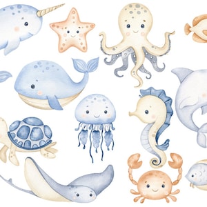 Clipart de acuarela submarina, decoración infantil, arte mural para bebés, pulpo, medusa, ballena, lindos animales marinos png, baby shower imagen 2