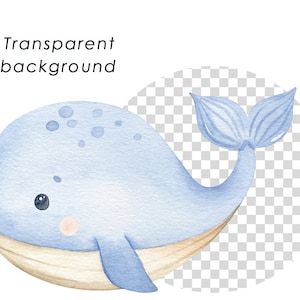 Clipart de acuarela submarina, decoración infantil, arte mural para bebés, pulpo, medusa, ballena, lindos animales marinos png, baby shower imagen 6