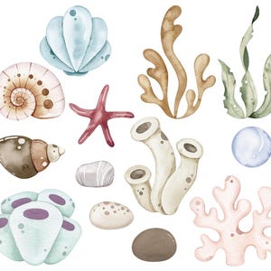 K&ouml;nnte beinhalten: Aquarell-Illustration verschiedener Meereselemente, darunter Muscheln, Seesterne, Korallen und Seetang. Die Farbpalette umfasst sanfte Blau-, Braun- und Rosat&ouml;ne, die ein ruhiges Unterwassermotiv erzeugen.