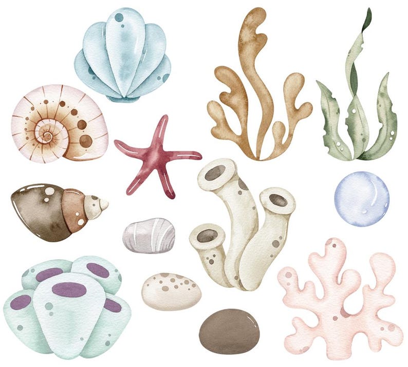 K&ouml;nnte beinhalten: Aquarell-Illustration verschiedener Meereselemente, darunter Muscheln, Seesterne, Korallen und Seetang. Die Farbpalette umfasst sanfte Blau-, Braun- und Rosat&ouml;ne, die ein ruhiges Unterwassermotiv erzeugen.