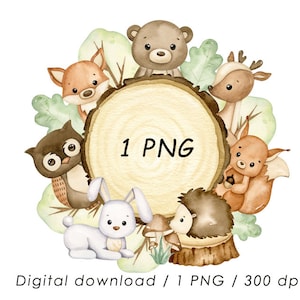 Sublimação de animais da floresta, moldura de animais da floresta, chá de bebê, convite de aniversário, decoração de berçário png
