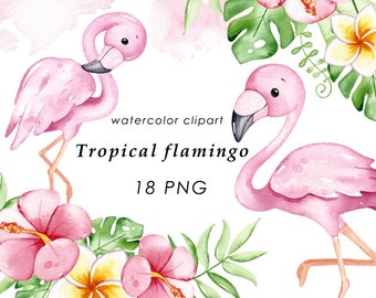 Acuarela flamingo clipart, lindo clip art tropical, clipart de verano, png