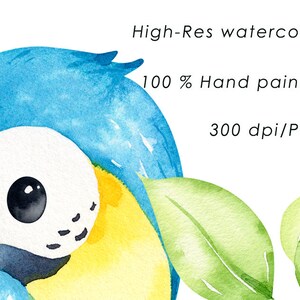 May include: Watercolor painting of a blue and yellow parrot with a white face and black eyes. The parrot is surrounded by green leaves. The image is 300 dpi and is a PNG file.