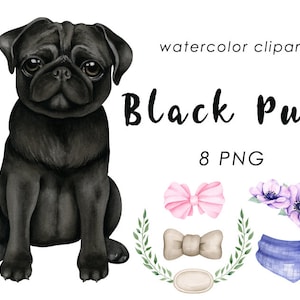 Watercolor black pug clipart, hand painted dog portrait, instant download