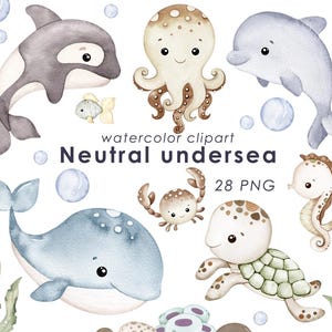 K&ouml;nnte beinhalten: Aquarell-Clipart mit verschiedenen Meeresbewohnern, darunter ein Wal, ein Delfin, ein Oktopus, eine Krabbe, ein Seepferdchen und eine Schildkr&ouml;te. Das Bild enth&auml;lt den Text "Neutral undersea" und "28 PNG" in neutralen Farben.