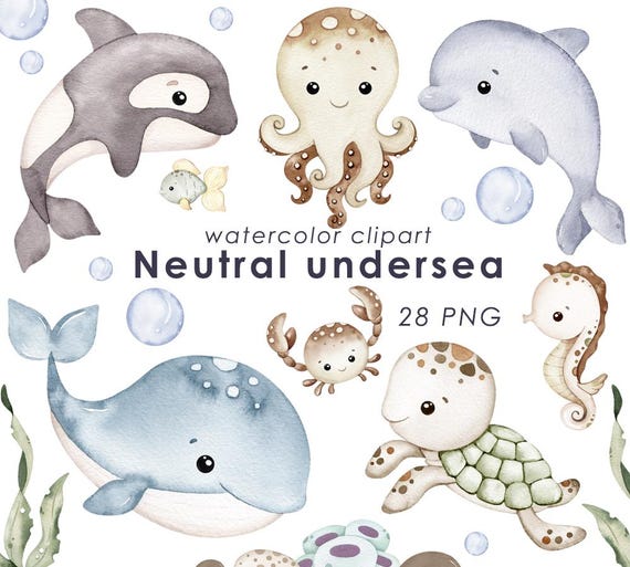 Undersea watercolor clipart, nursery decor, baby wall art, octopus, jellyfish, whale, cute ocean animals png, baby shower