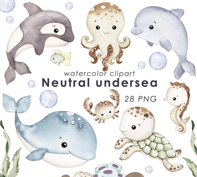 K&ouml;nnte beinhalten: Aquarell-Clipart mit verschiedenen Meeresbewohnern, darunter ein Wal, ein Delfin, ein Oktopus, eine Krabbe, ein Seepferdchen und eine Schildkr&ouml;te. Das Bild enth&auml;lt den Text "Neutral undersea" und "28 PNG" in neutralen Farben.