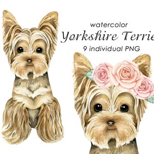 Watercolor Yorkshire Terrier clipart, hand painted yorkie PNG, pet portrait, instant download