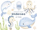 Undersea watercolor clipart, nursery decor, baby wall art, octopus, jellyfish, whale, cute ocean animals png, baby shower