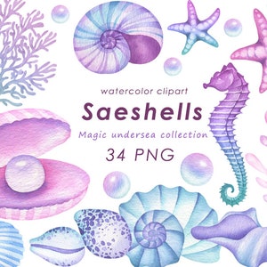 Clipart de conchas marinas de acuarela, clip art de verano, caballito de mar náutico, estrella de mar, caracola, PNG, descarga digital
