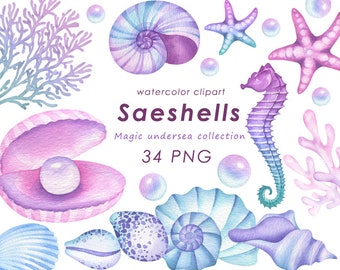 Watercolor seashells clipart, summer clip art, nautical seahorse, starfish, conch, PNG, digital download