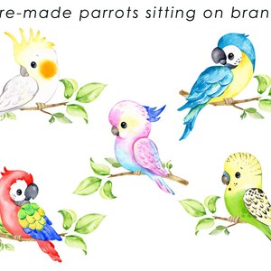 May include: Five watercolor illustrations of parrots perched on branches. The parrots are a cockatiel, a blue and yellow macaw, a pink and blue parakeet, a red and blue macaw, and a green budgie.
