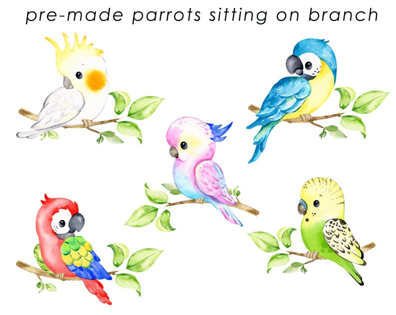 May include: Five watercolor illustrations of parrots perched on branches. The parrots are a cockatiel, a blue and yellow macaw, a pink and blue parakeet, a red and blue macaw, and a green budgie.
