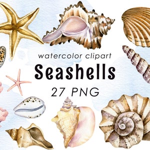 Watercolor seashells clipart, nautical summer clipart, starfish conch PNG, digital download