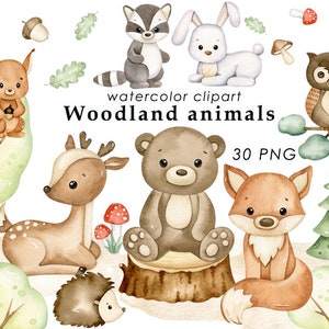 Woodland animals watercolor clipart, forest animals clip art, nursery decor, bear, fox, owl, hedgehog, rabbit, deer