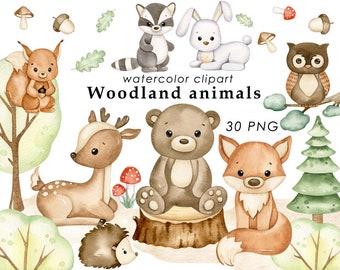 Woodland animals watercolor clipart, forest animals clip art, nursery decor, bear, fox, owl, hedgehog, rabbit, deer