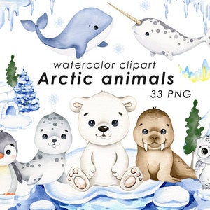 Clipart ad acquerello di animali artici, simpatico orso polare, pinguino, narvalo, balena, arredamento della scuola materna