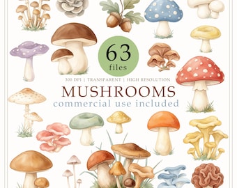 Watercolor mushroom clipart, forest fungi png, nursery decor, Commercial use