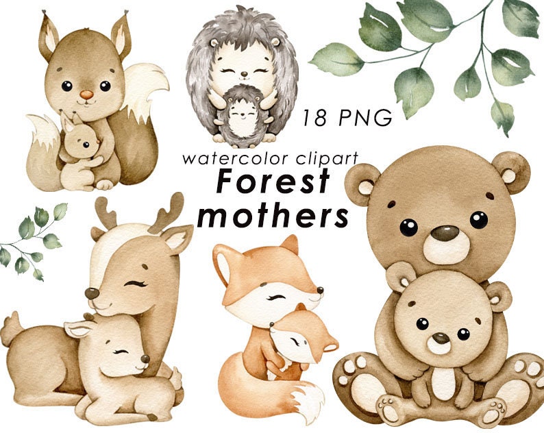 Forest Animals Watercolor Clipart, Woodland Mother and Baby, Baby ...