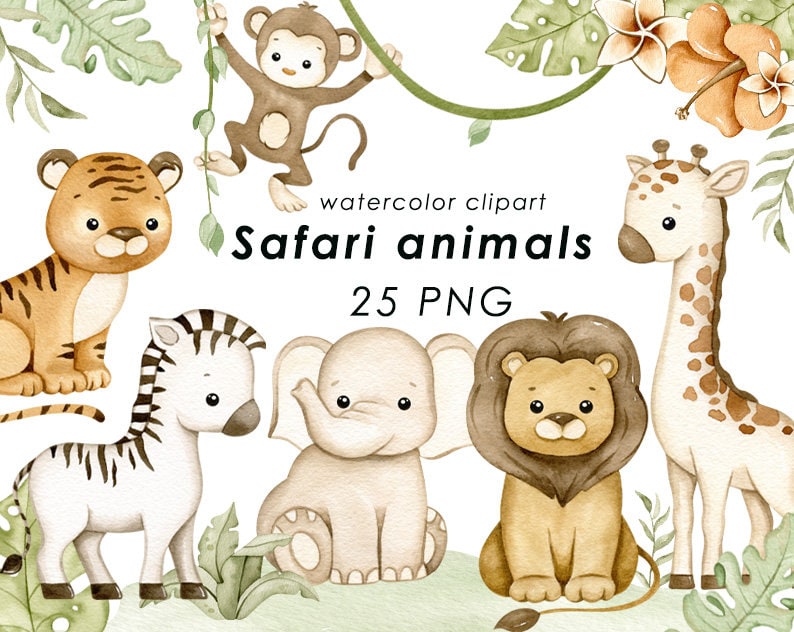 May include: Watercolor clipart of safari animals, including a tiger, zebra, elephant, lion, giraffe, and monkey. The animals are illustrated in a cute, cartoon style with soft colors. The text "Safari animals" and "25 PNG" is included in the image.