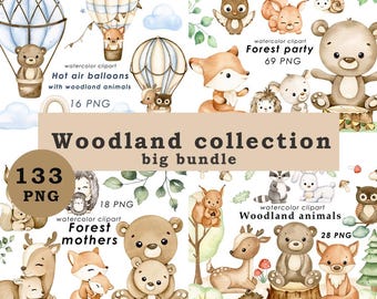 Woodland animals watercolor clipart, forest animals clip art, nursery decor, bear, fox, owl, hedgehog, rabbit, deer
