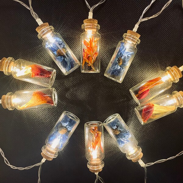 Fairy Lights Etsy Canada