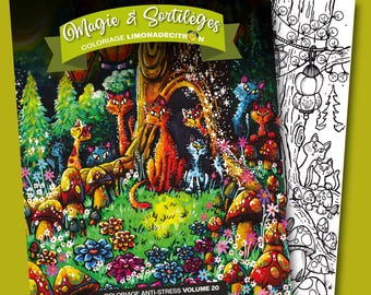 NOUVEAU***VOLUME-20  Magie & Sortilèges