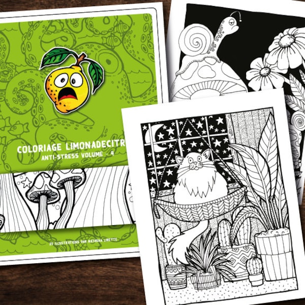 VOLUME 4 Anti-stress Coloring Book