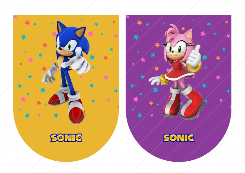 Sonic The Hedgehog Banner Flag Digital Download Sonic The Etsy