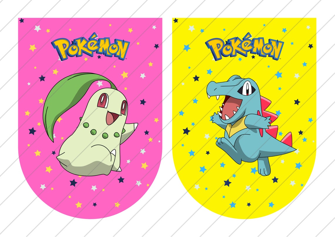 Pokemon Banner Flag Digital Download Pokemon Party | Etsy