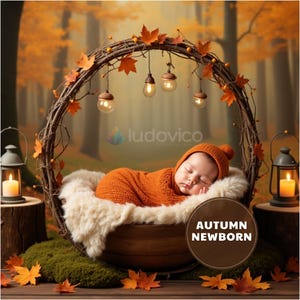 Autumn Newborn Digital Backdrop: Forest Cradle, Lanterns & Leaves