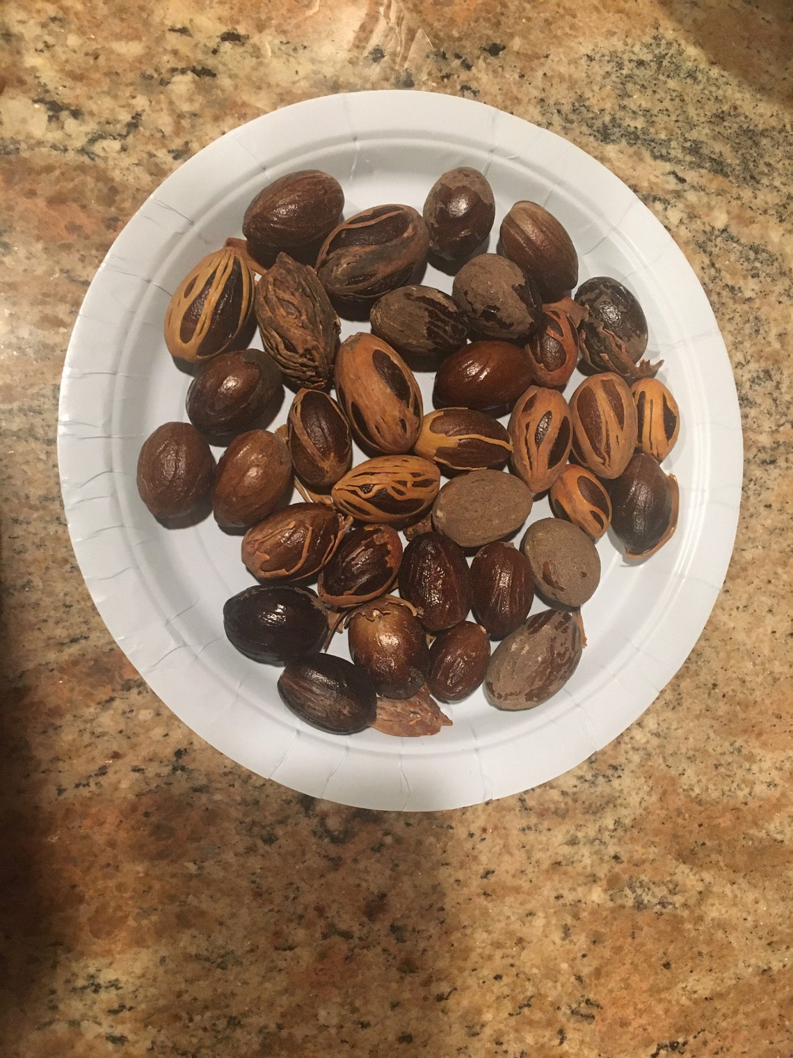 Whole JAMAICAN Nutmeg 100 All Natural dozens Etsy