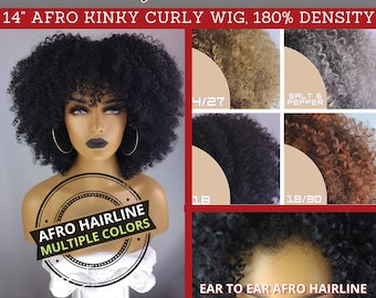 AFRO KINKY CURLY Wig with Realistic Afro Hairline, 14", 180% Density