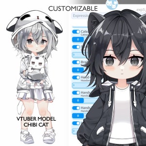 Customizable Live2D Premade Vtuber | Chibi Model | Editable & Rigging | Customized Avatar | Cat Model