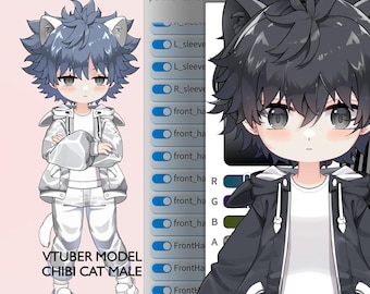 Premade Vtuber Model - Customizable Chibi Model Live2D - Cat Male Model