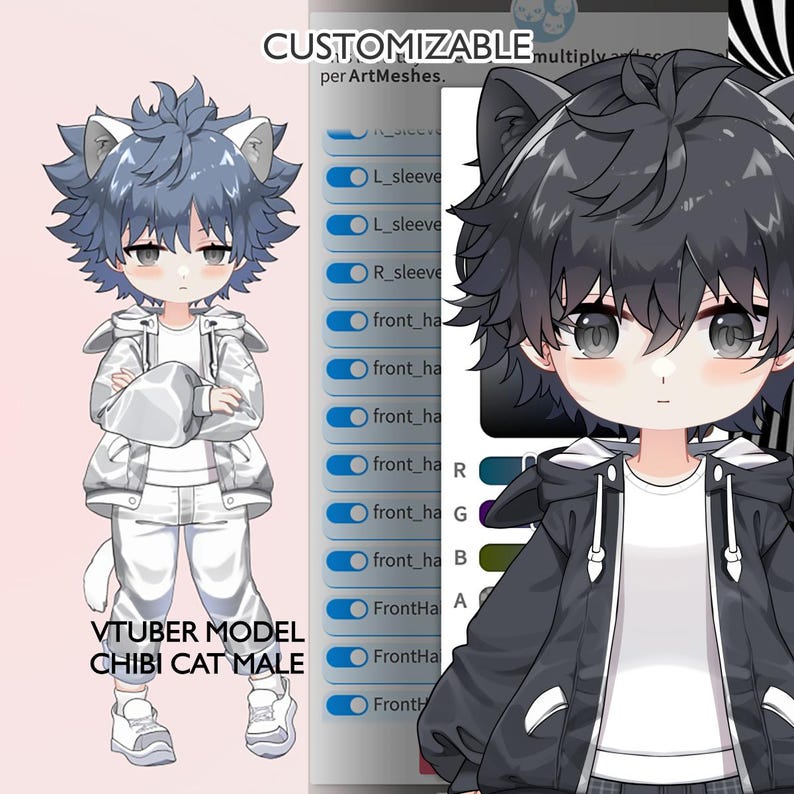 Premade Vtuber Model - Customizable Chibi Model Live2D - Cat Male Model