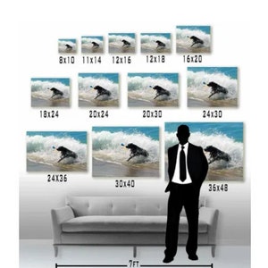 May include: Sizing chart for canvas prints featuring a black dog running through waves with a blue ball in its mouth. The chart shows different sizes from 8x10 inches to 36x48 inches.